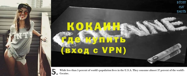 apvp Богданович