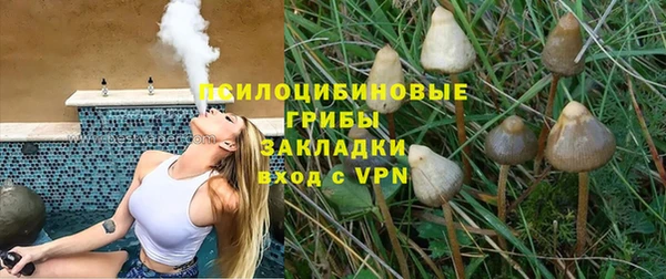 apvp Богданович