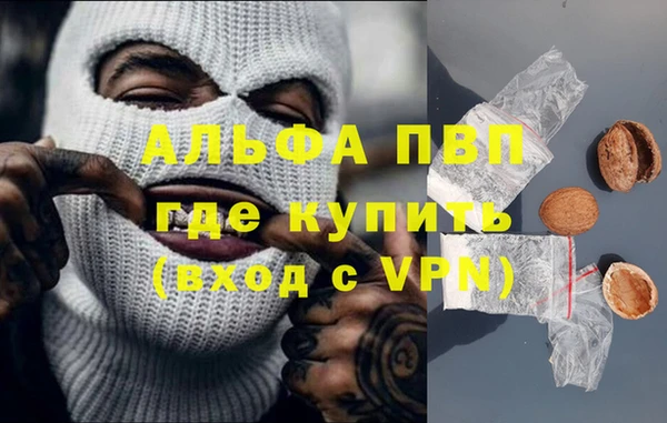 хмурый Бородино