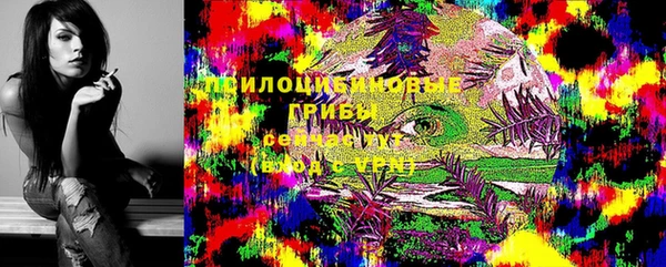 стафф Бронницы