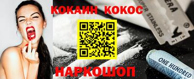 индика Кингисепп