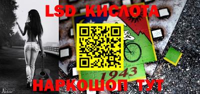индика Кингисепп