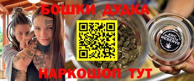 индика Кингисепп