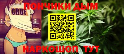 индика Кингисепп