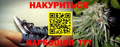 индика Кингисепп