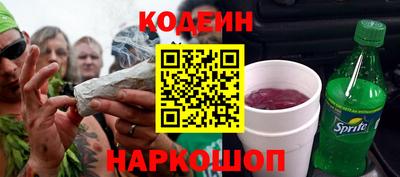 индика Кингисепп