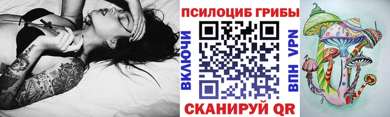 как найти   Бутурлиновка  Псилоцибиновые грибы ЛСД 