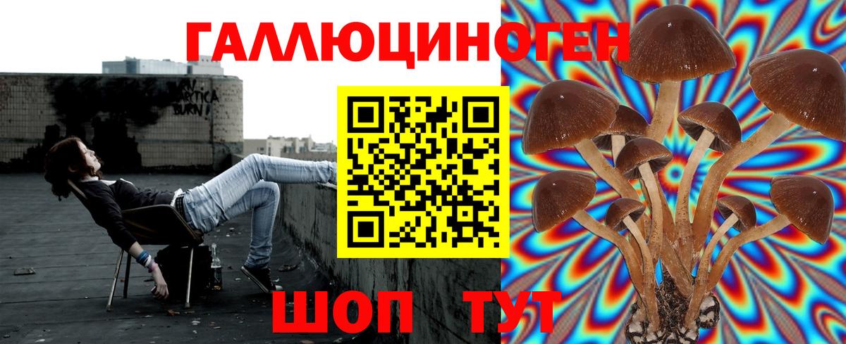 Псилоцибиновые грибы мухоморы  Вход с VPN  Бутурлиновка 
